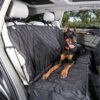 Manta para o banco de trás ou mala do veiculo quando transporta o seu cão. 7